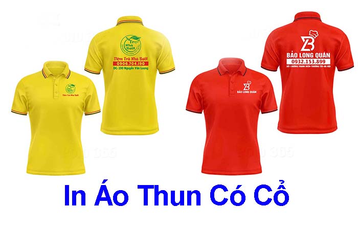 in áo thun có cổ