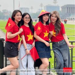 áo thun cờ đỏ sao vàng việt nam