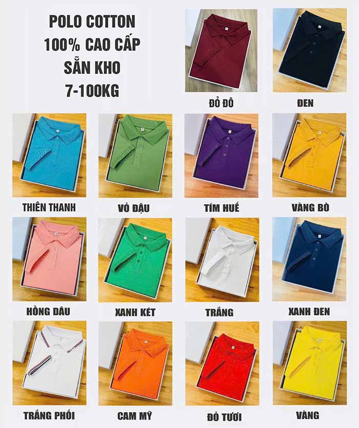 bảng màu áo polo cotton 100%