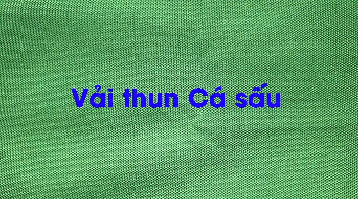 vải thun cá sấu