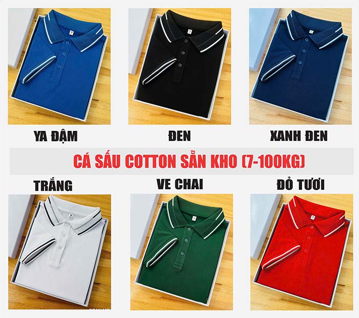 áo polo cá sấu cotton 100